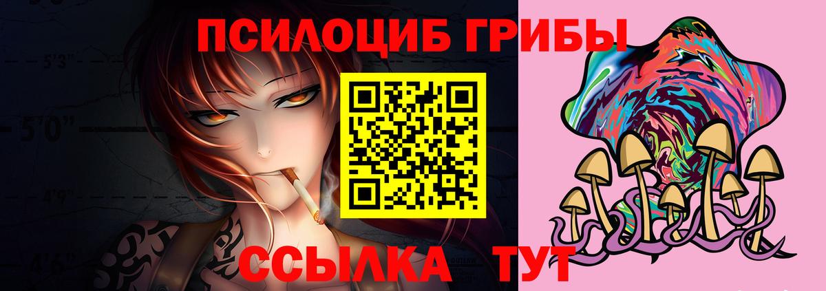 Гагарин  дарнет шоп  Вход с VPN  Галлюциногенные грибы Psilocybe 